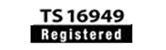 TS 16949